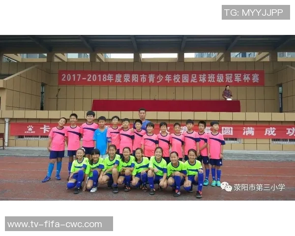 足球论文300探讨足球战术演变与球员心理素质的关系分析